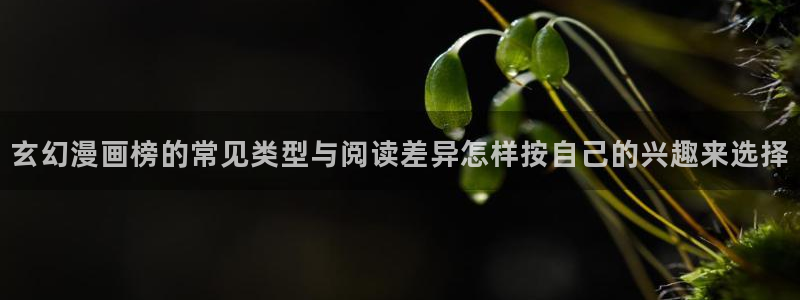 漫画岛最新章节
