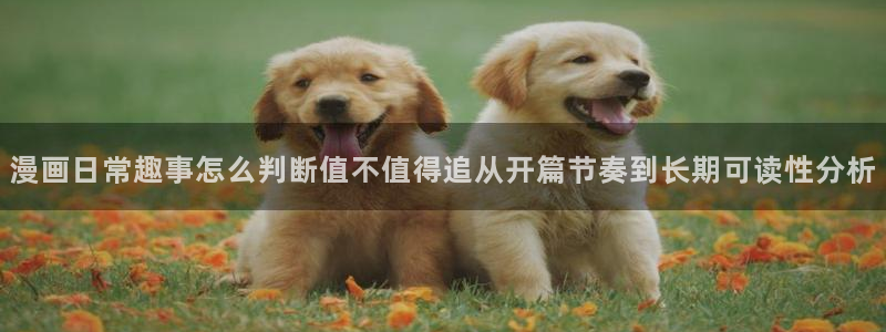 漫画岛阅读