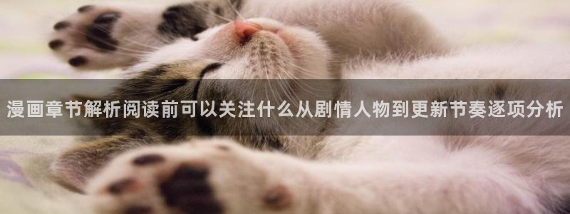 漫画岛作品检索：漫画章节解析阅读前可以关注什么从剧情人物到更新节奏逐项分析