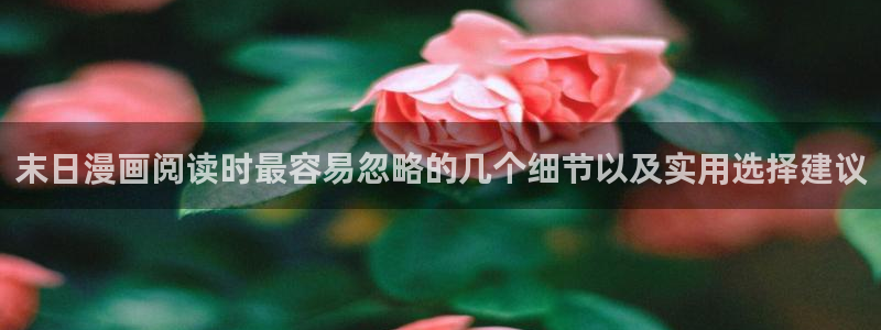漫画岛入口最新地址