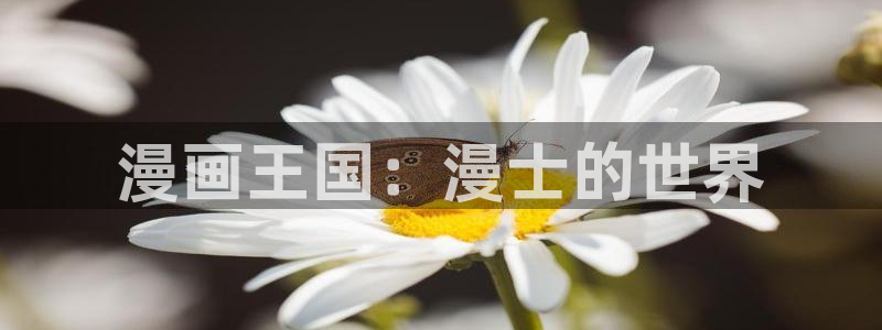 漫画岛漫画入口大全
