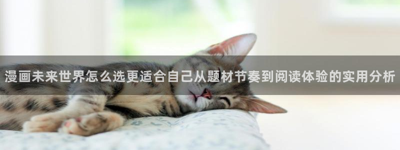 漫画岛阅读网页